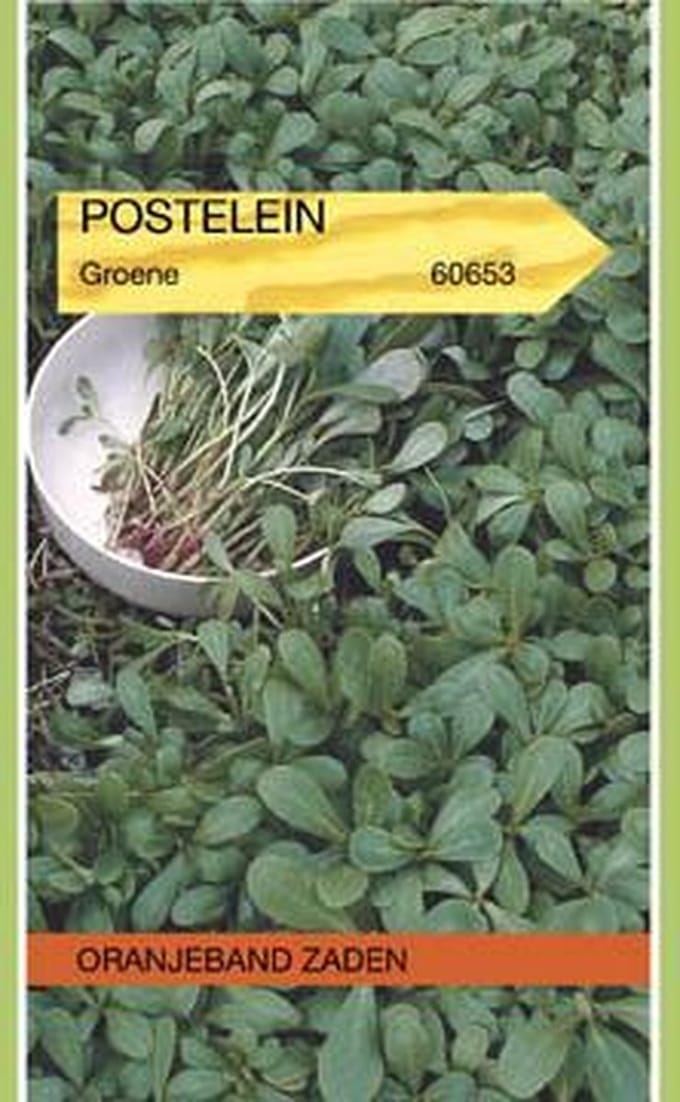 OBZ 660653 Postelein Groene