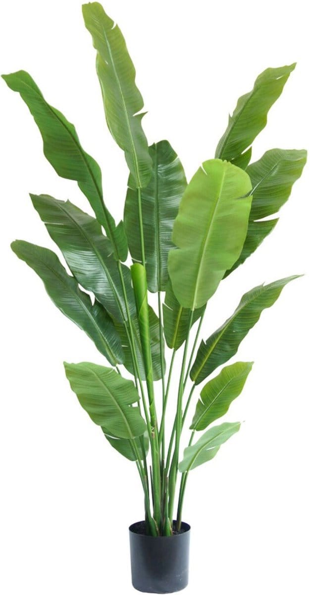 Strelitzia Kunstplant 180cm Deluxe