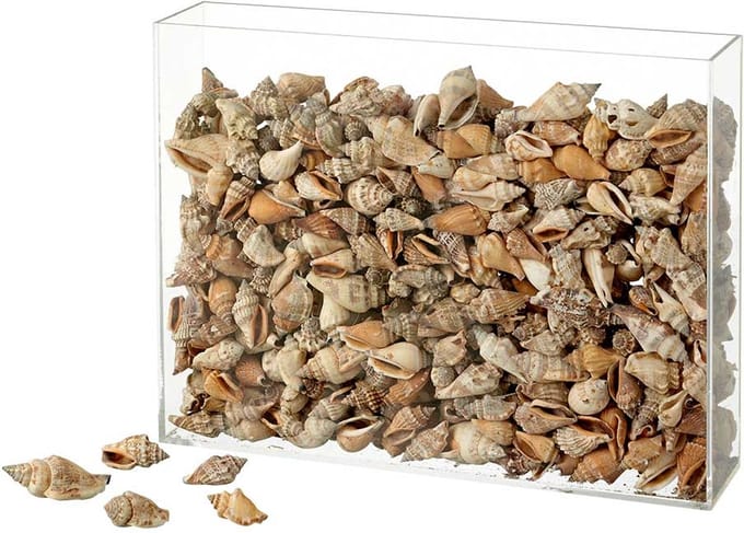 Schelpen Aninikad 1 kg, natuurlijk materiaal