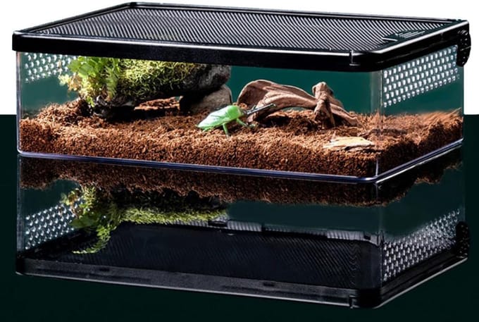Terrarium - Ecosysteem - Reptielenverblijf - Transparant