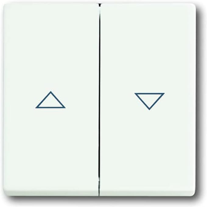 ABB Busch-Jaeger toekomstig Bedieningselement/Centrale Plaat Schakelmateriaal - 2CKA001751A3022 - E2QA5