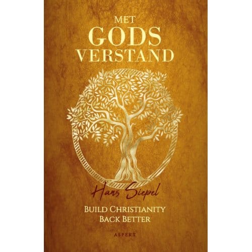 Met Godsverstand - Hans Siepel