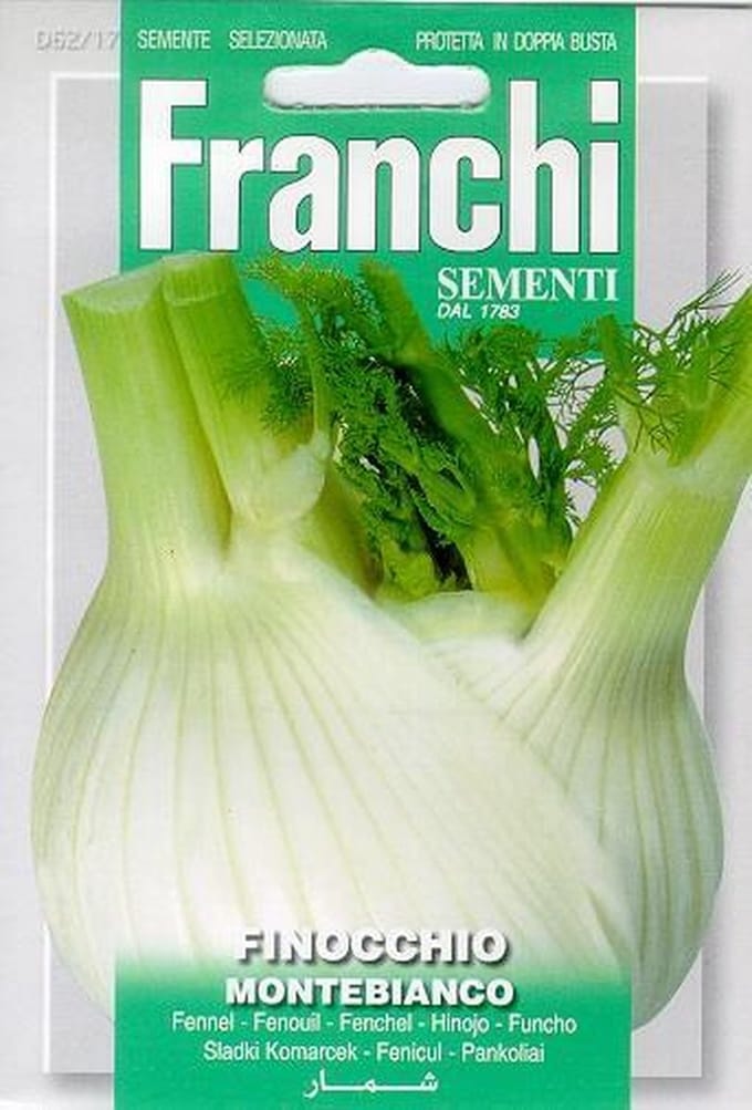 Franchi - Finocchio Montebianco - Knolvenkel