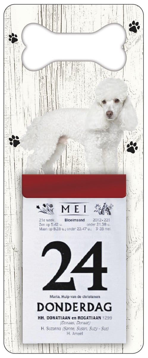 Scheurkalender 2027 Hond: Poedel
