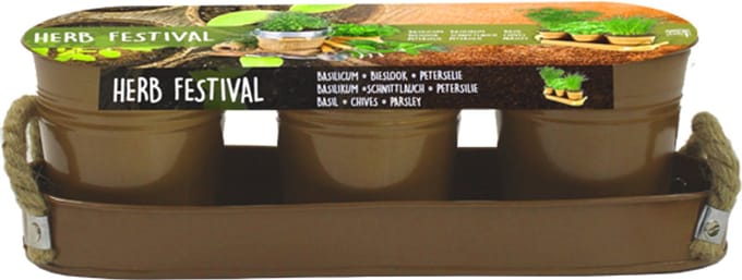 Herb Festival - 3 (Brons)