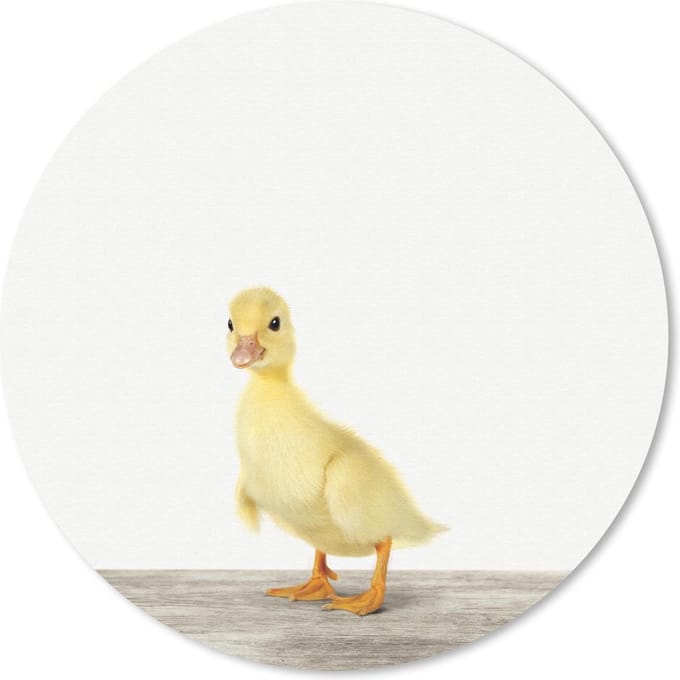 Muismat rond 20x20 cm - Mousepad Dieren - Geel - Eend - Ronde muismatten