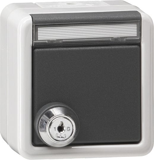 Gira IP44 Buiten SCHUKO Stopcontact Met Vergrendelbare Afdekking - 456930