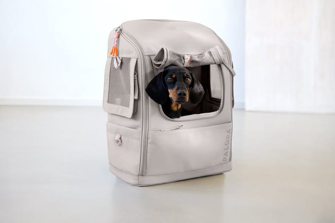 Palopa rugzak-draagtas voor de hond Kari - Taupe / S
