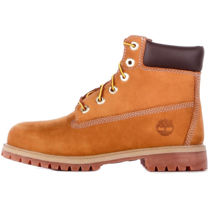 Laarzen Timberland Bottines Premium 6´´ Wp cuir