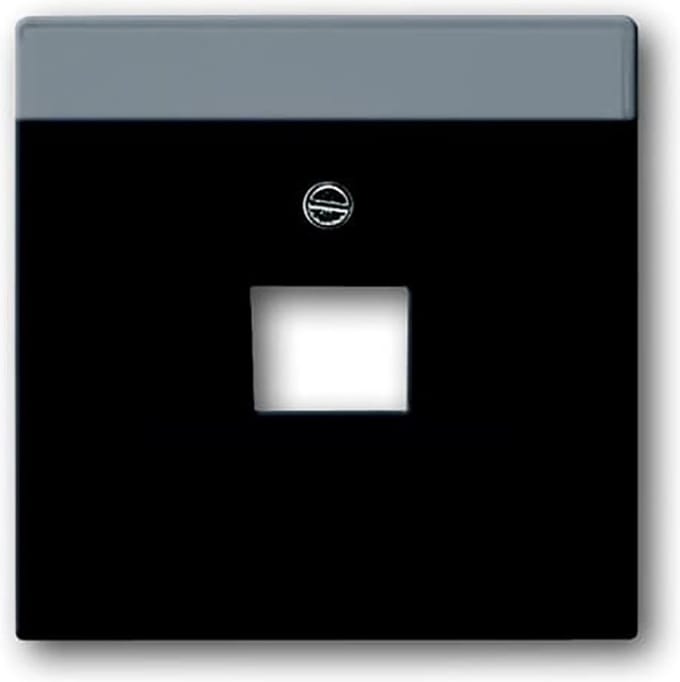 Busch Jaeger Future Linear afdekplaat 1xRJ45/ RJ11 MAT Zwart 1803-885