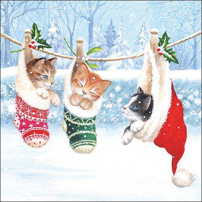 Servet Kittens in Winterland (5stuks)
