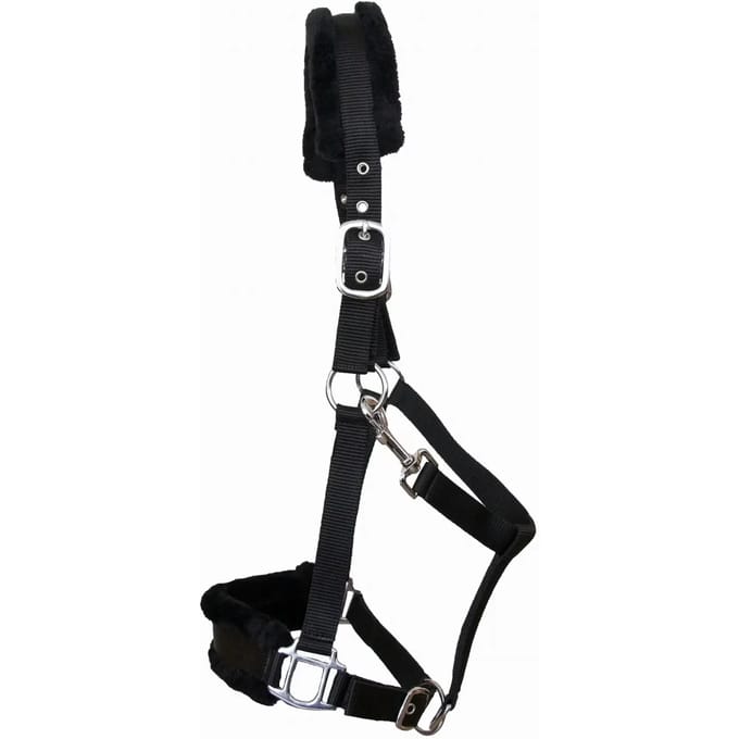 Schofelt voor paard T de T