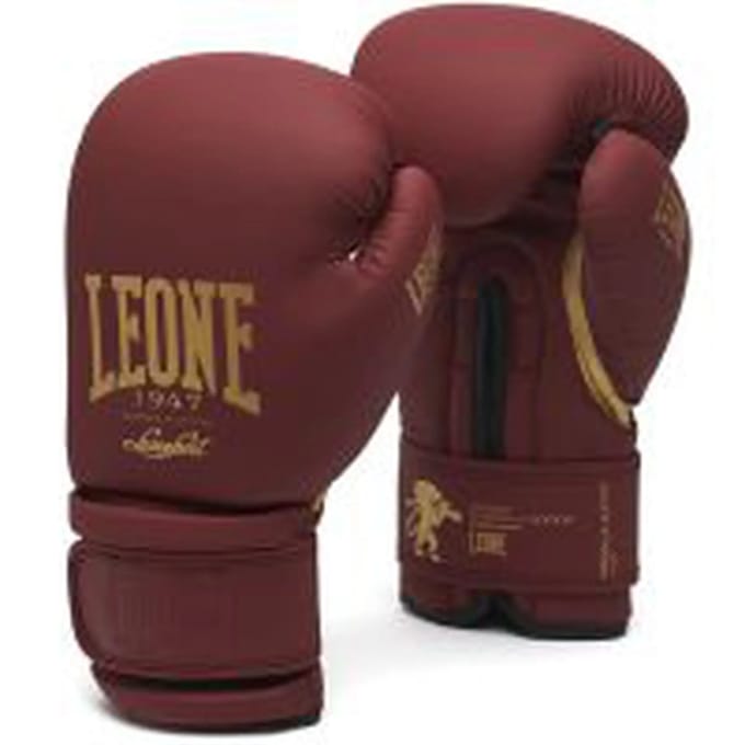 Kickboks scheenbeschermers Leone DNA