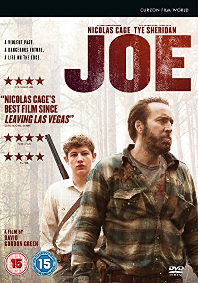 Joe (2013)