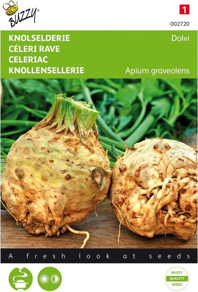 Buzzy Zaden - Knolselderie Dolvi - Apium graveolens