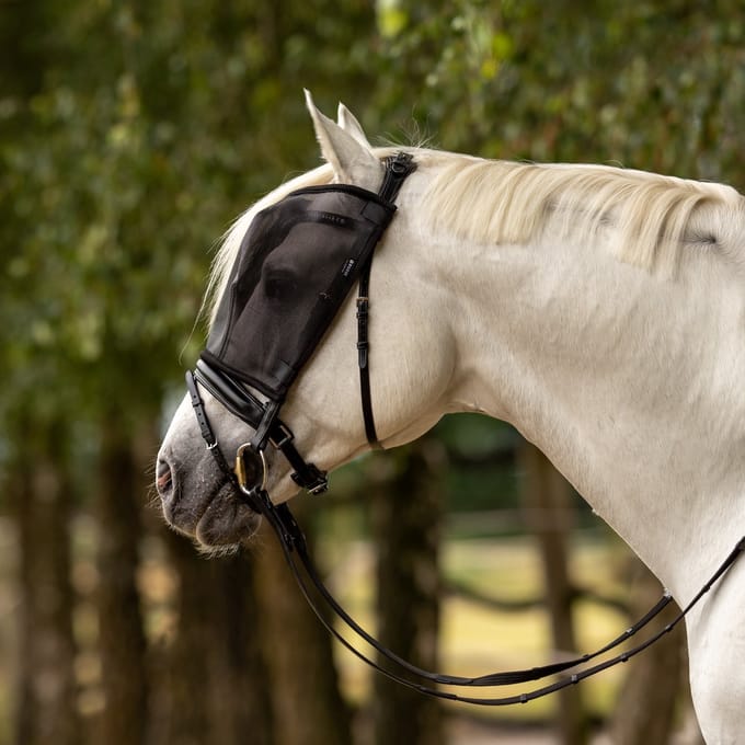 Busse vliegenmasker riding-Cob