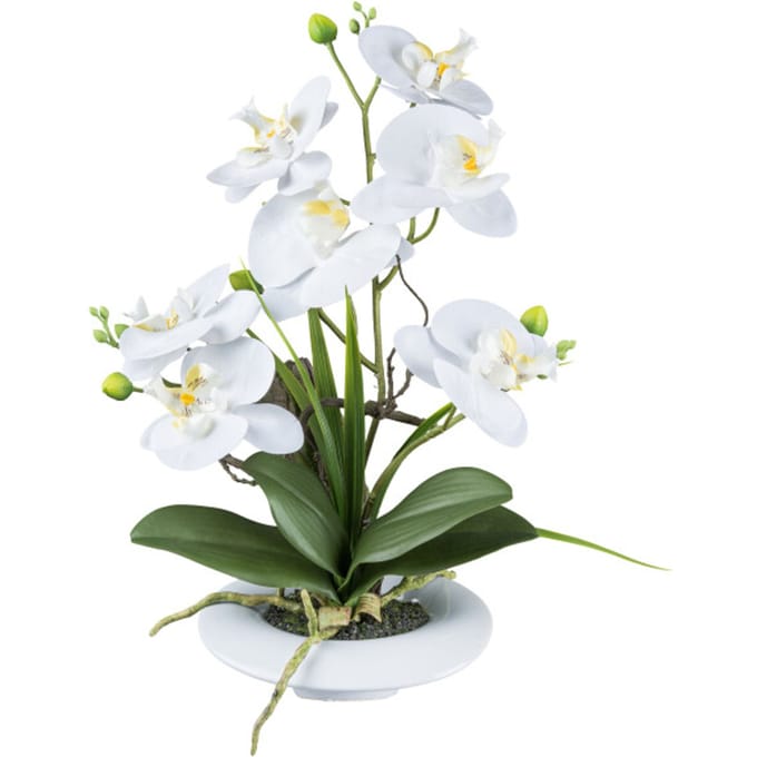 Kopu® Kunstbloem Orchidee 41 cm Wit met Bloemschaal - Phalaenopsis