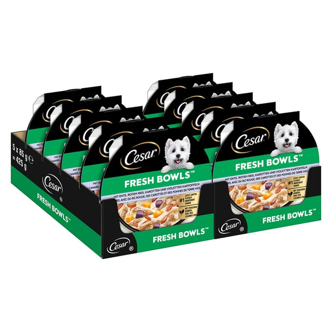 Voordeelpakket: 20x85g Cesar Fresh Bowls eend in saus natvoer voor honden