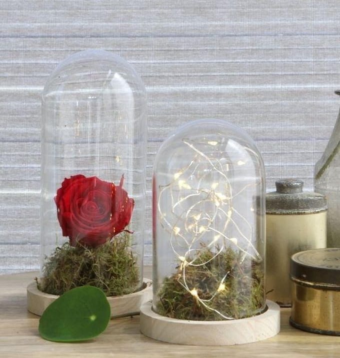 Glazen Koepel Met Houten Basisvoet Ø 10 Cm En 15 Cm Hoog (1 St)