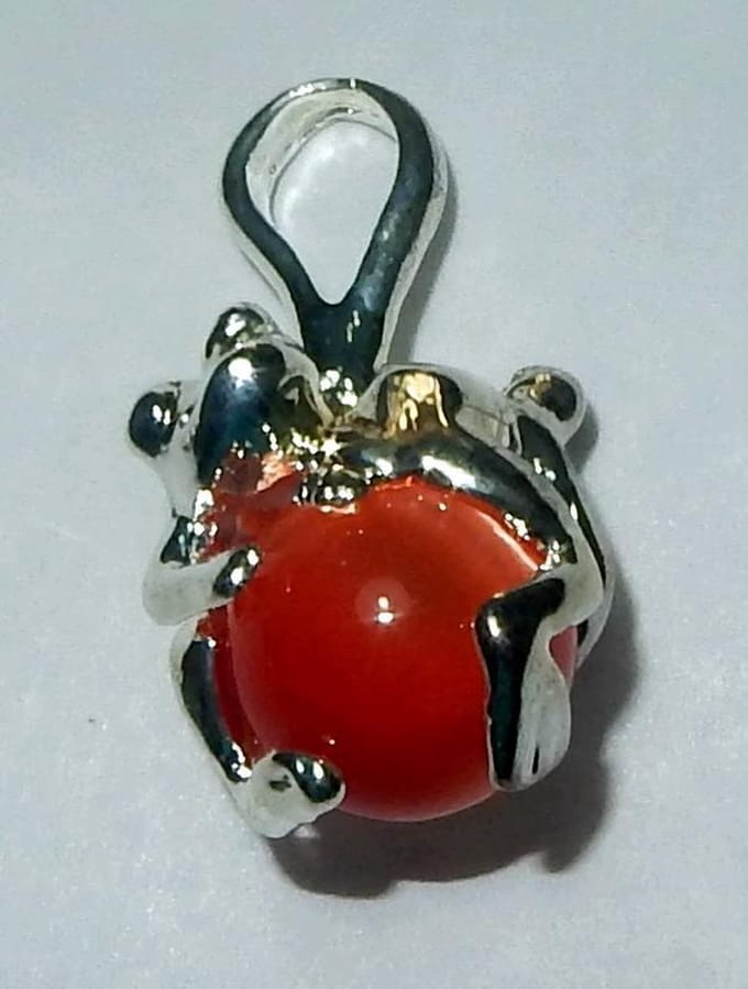 Zilverkleurige Kikker Hanger Kattenoog
