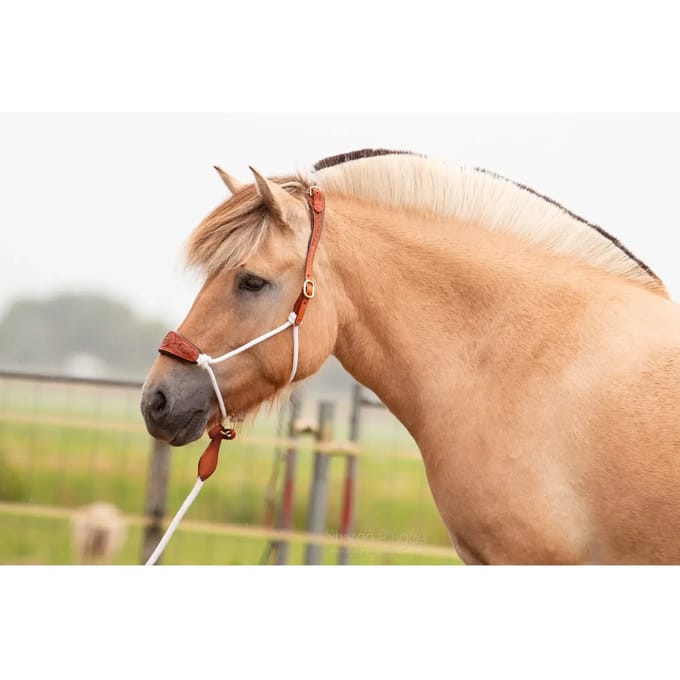 Leren halster voor paarden Edix Saddles Resi
