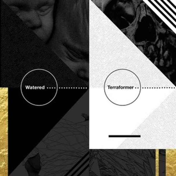 Watered & Terraformer - Split (LP)