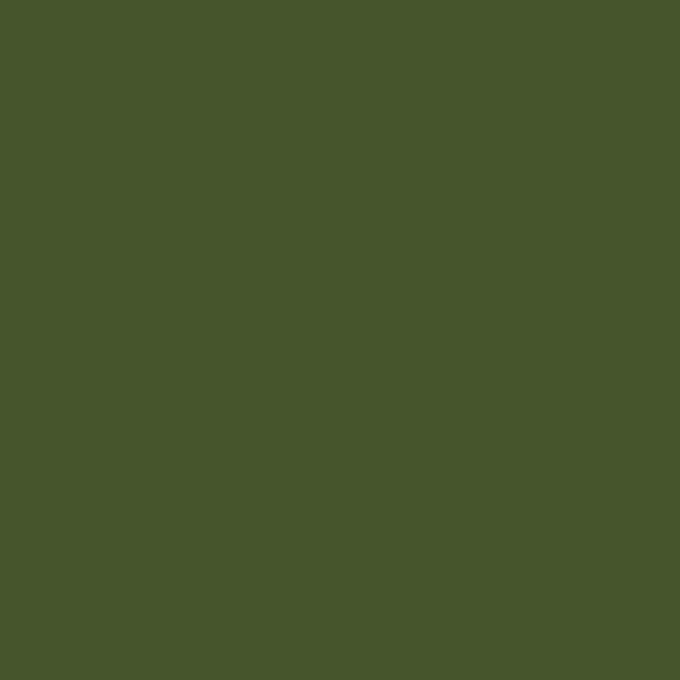 Bombe de peinture Amsterdam 400 ml vert olive foncé vert