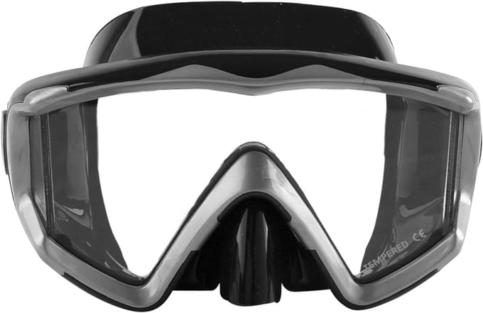 Duikbril Pro Series III zwart/grijs
