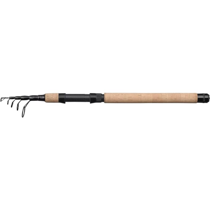 Telescopische spinhengel Berkley Lightning Ht Ii 2-10g