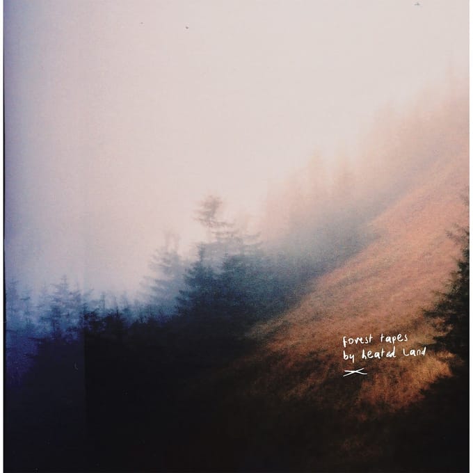Heated Land - Forest Tapes (LP)