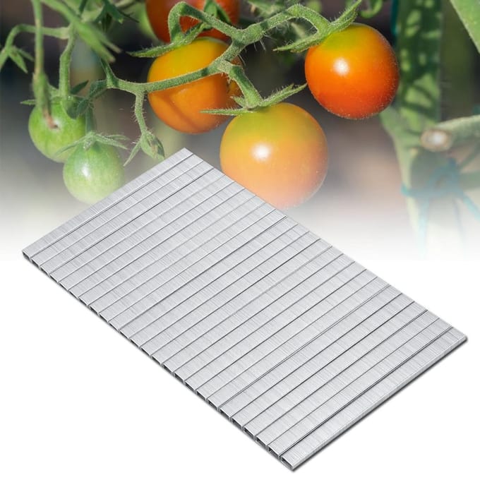 10000 stuks 604C Tomatenrankbinder Nagel Tapetool Tuin Nagel Tak Bindnagel beige