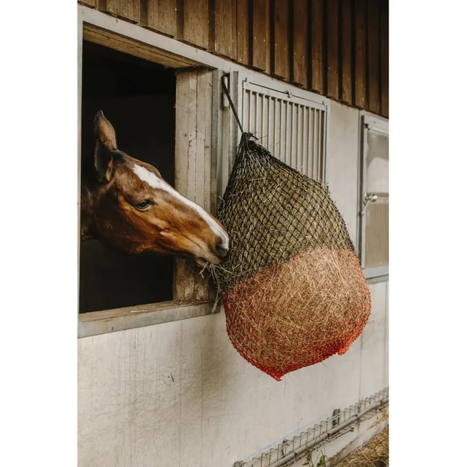 Hooi net Hippotonic Fin