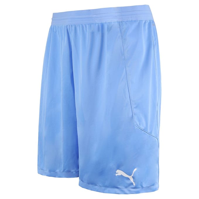 Puma DryCell TeamFinal 21 Stretch Taille Heren Lichtblauw Korte Broek 704257 18