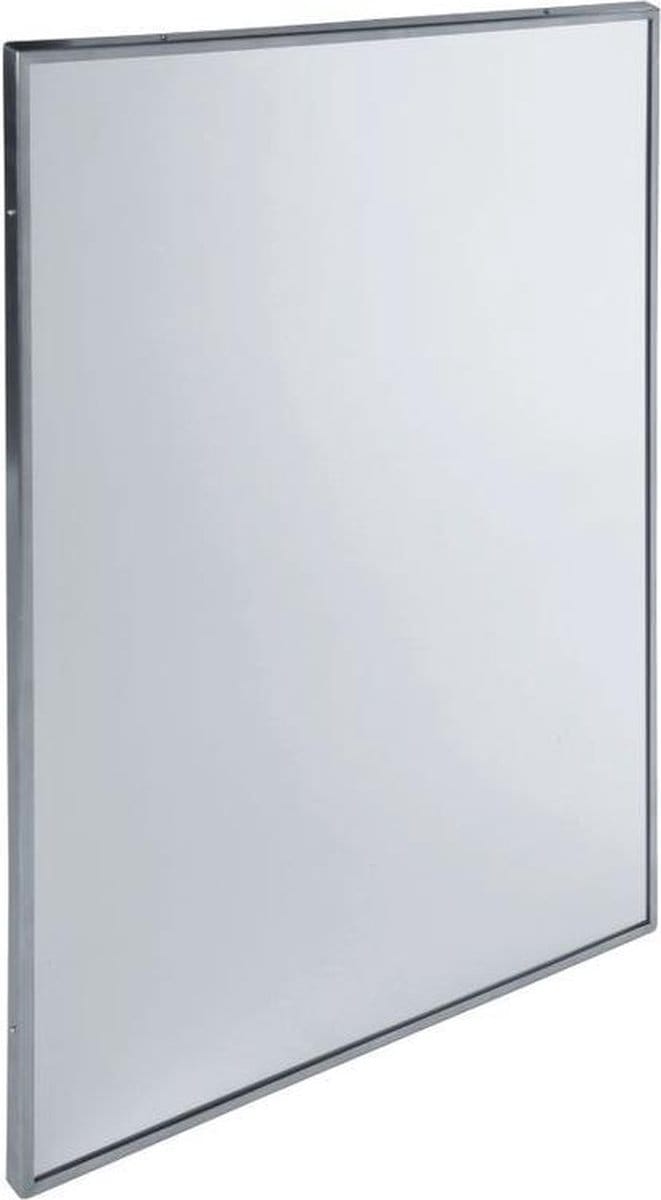 Mediclinics - Spiegel RVS 700 x 500 mm