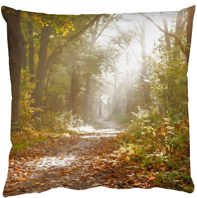 Sierkussens - Kussentjes Woonkamer - 50x50 cm - Zonlicht - Bospad - Bomen