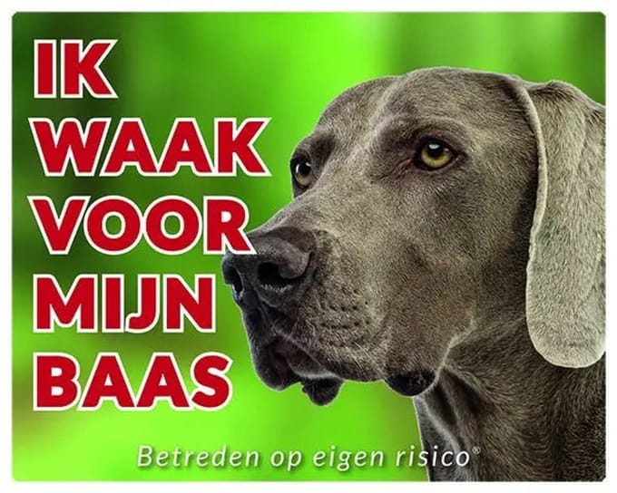 Weimaraner Waakbord - Ik waak voor mijn baas