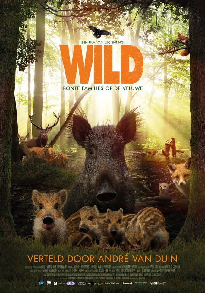 Wild (DVD)