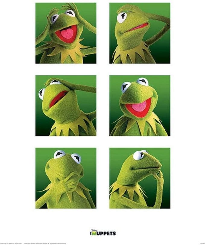 Pyramid Poster - The Muppets Kermit Boxes - 40 X 30 Cm - Multicolor