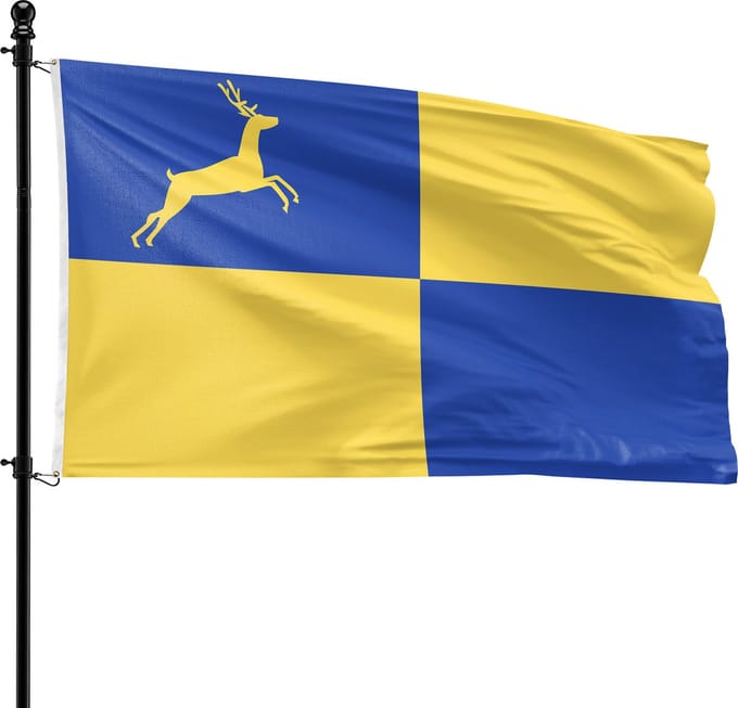 VlagDirect - Putten vlag - Gemeente Putten vlag - 90 x 150 cm.