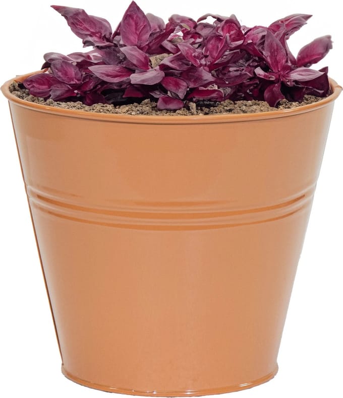 Mega Collections plantenpot/bloempot Bob - zink - terra - D13 X H12 cm