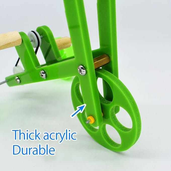 Training Papegaai Mini Fiets Speelgoed Vogel Spel Benodigdheden voor Recreatieve Vogel Training green