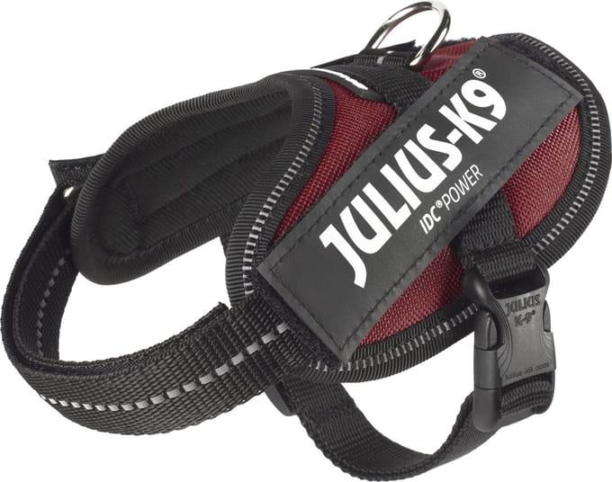 Julius-K9 IDC®Powertuig, 2XS - Baby2, claret bruin