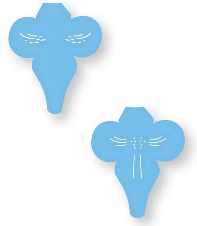 JEM Orchid Labellum Stencil set/2