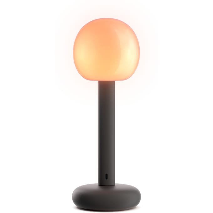 Grau Fire draagbare lamp - zwart