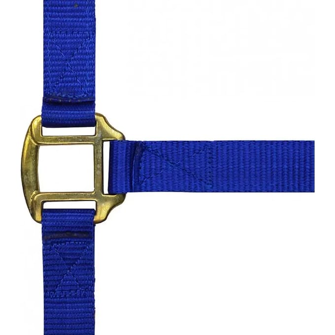 Halster voor paarden Norton Doublé cuir