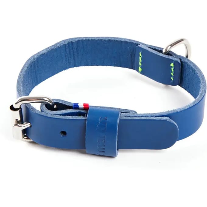 Bicolore leren hondenhalsband Martin Sellier 499