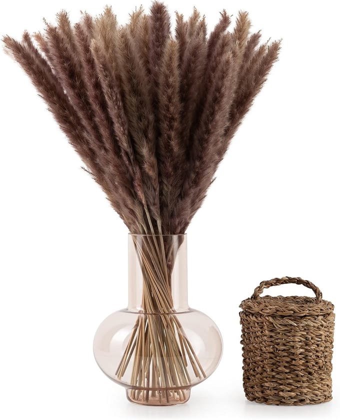 30 Stuks Gedroogde Pampasgrassen 58-60 cm Natuurlijk Bruin voor Boho Decoratie