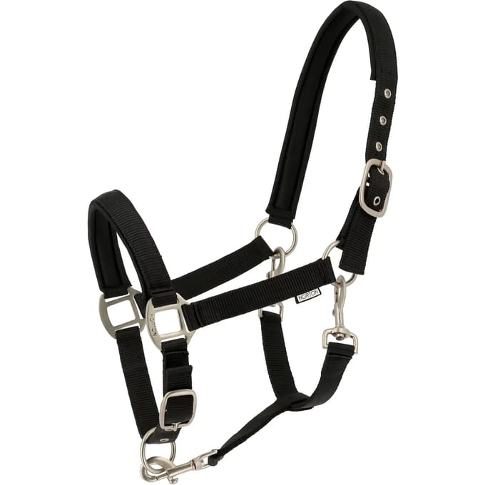 Halster voor paarden Norton Nacre