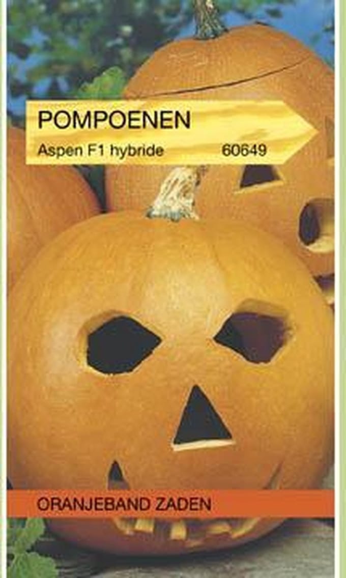 Oranjebandzaden -  Pompoenen Aspen