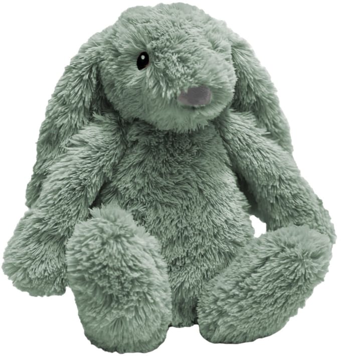 Zazu Ro het Konijn Green Knuffel met Nachtlampje